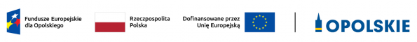 foto z aktualności - Nie-Sami-Dzielni – rozwój usług społecznych oraz wspierających osoby niesamodzielne – III edycja